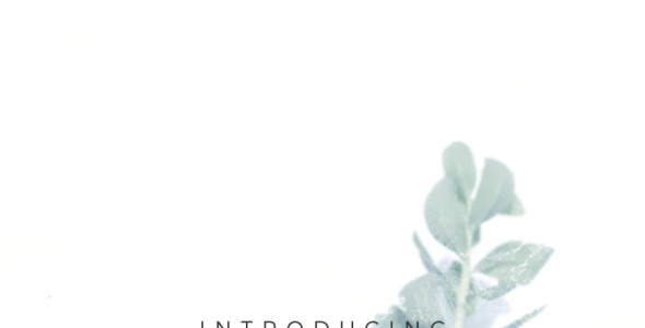 Шрифт на тему графика