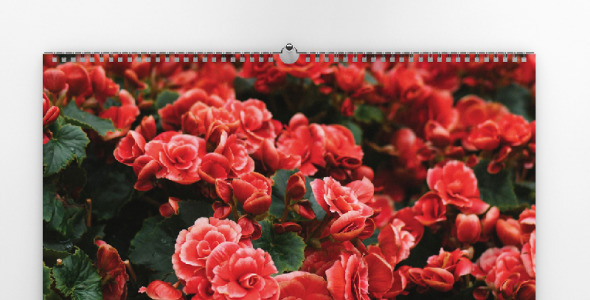 Planner на тему графика