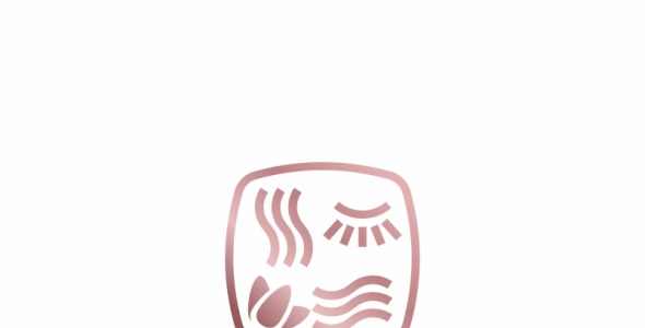 Шаблон логотипа на тему графика