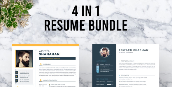 Адаптивный Резюме на тему графика