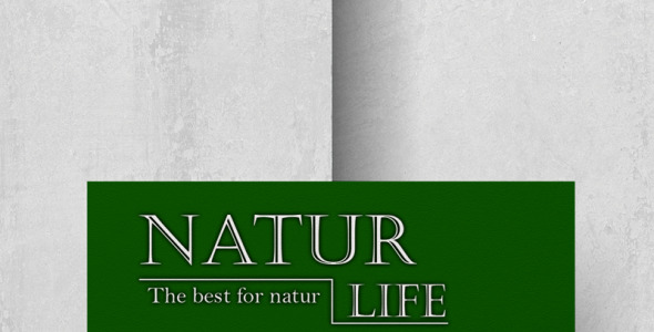 Фирменный стиль на тему графика