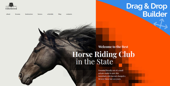 шаблон horse riding club moto cms 3