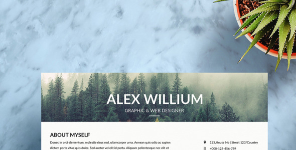 Резюме на тему графика