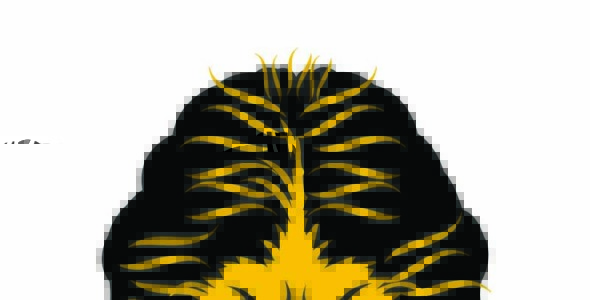 Шаблон логотипа на тему графика