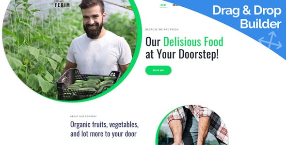 доставка еды moto cms 3 шаблон