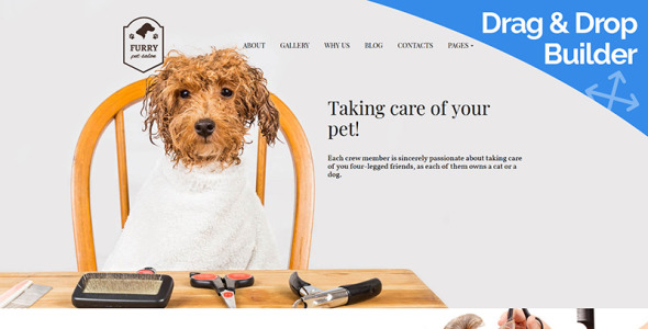 уход за домашними животными moto cms 3 шаблон