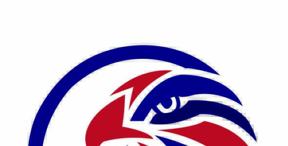 Шаблон логотипа на тему графика