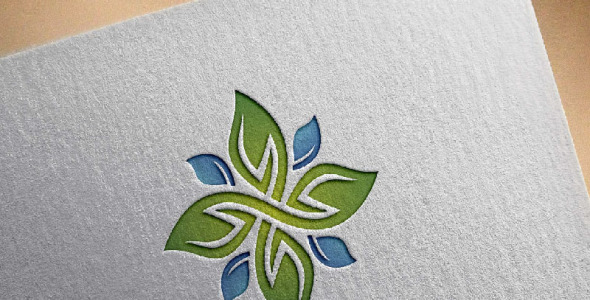 Шаблон логотипа на тему графика