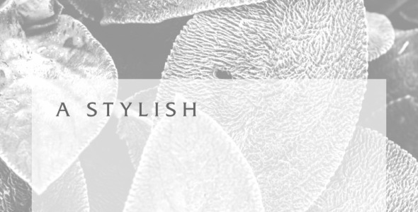 Шрифт на тему графика