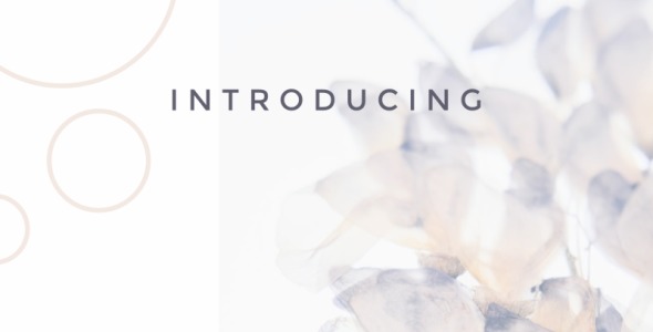 Шрифт на тему графика