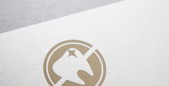 Шаблон логотипа на тему графика