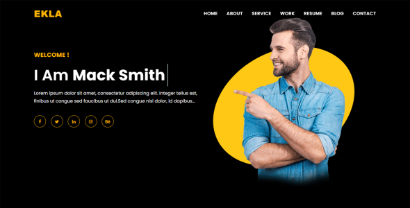 шаблон целевой страницы личного портфолио ekla