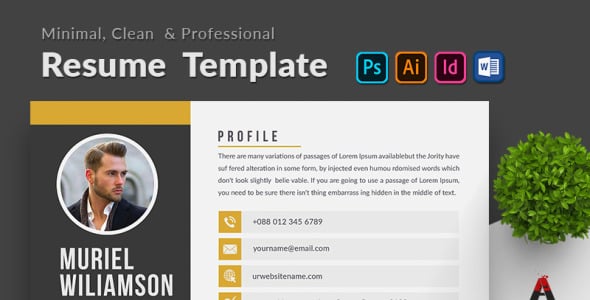 Резюме на тему графика