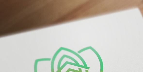 Шаблон логотипа на тему графика