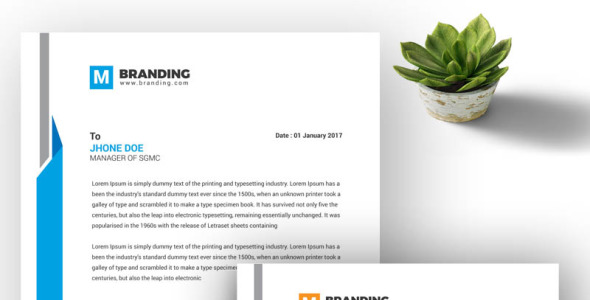 Фирменный стиль на тему графика