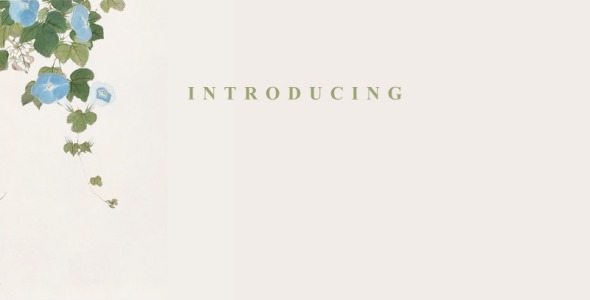 Шрифт на тему графика