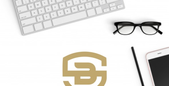 Шаблон логотипа на тему графика