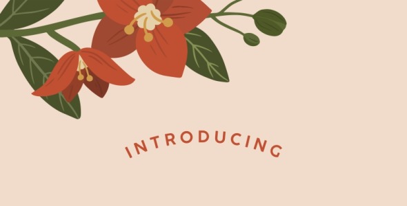 Шрифт на тему графика