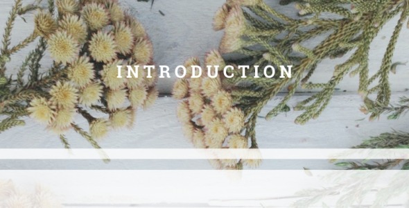 Шрифт на тему графика