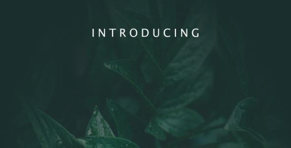 Шрифт на тему графика