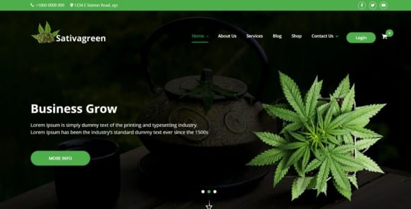 марихуана медицинская тема wordpress