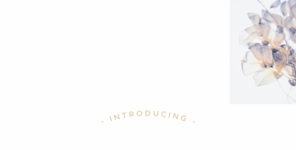 Шрифт на тему графика