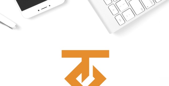 Шаблон логотипа на тему графика