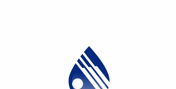 Шаблон логотипа на тему графика