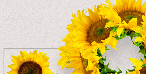 Мокап для продукта на тему графика