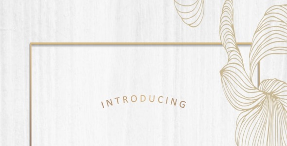 Шрифт на тему графика