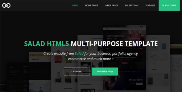 Salad – Multipurpose HTML Website Template