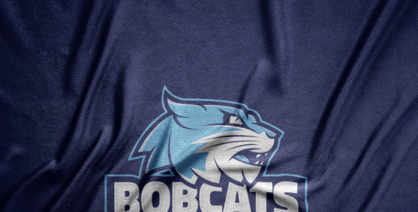 Шаблон логотипа на тему графика