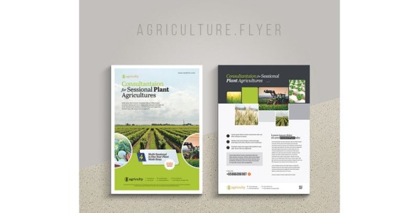 Фирменный стиль на тему графика