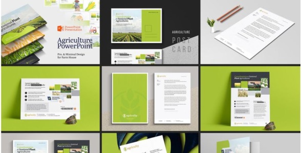 Фирменный стиль на тему графика