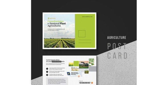 Фирменный стиль на тему графика