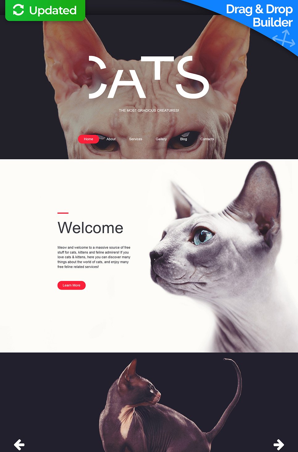 Cat Responsive Moto CMS 3 Template New Screenshots BIG