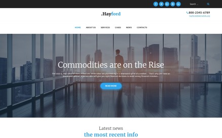 Hayford - Investment Consulting Services Responsive WordPress Theme
