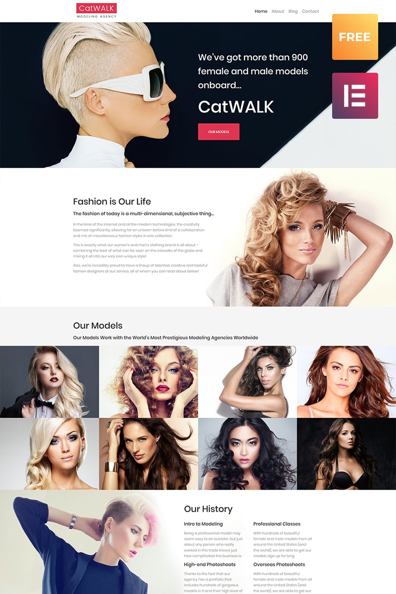Tema De WordPress "Catwalk" #61202 - captura de pantalla