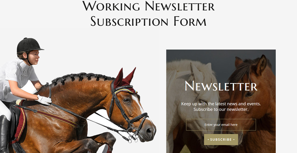   Horserati - Horse Club Multipage Website Template