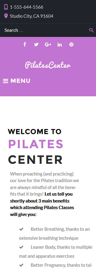 Kit Graphique #61375 Pilates Centre WordPress Themes - Smartphone Layout 2