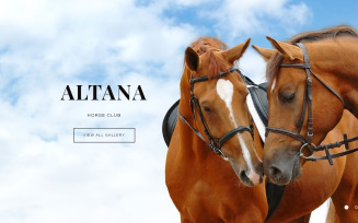 Horse Responsive Joomla Template