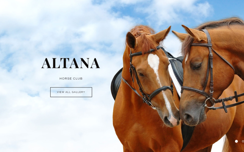 Horse Responsive Joomla Template