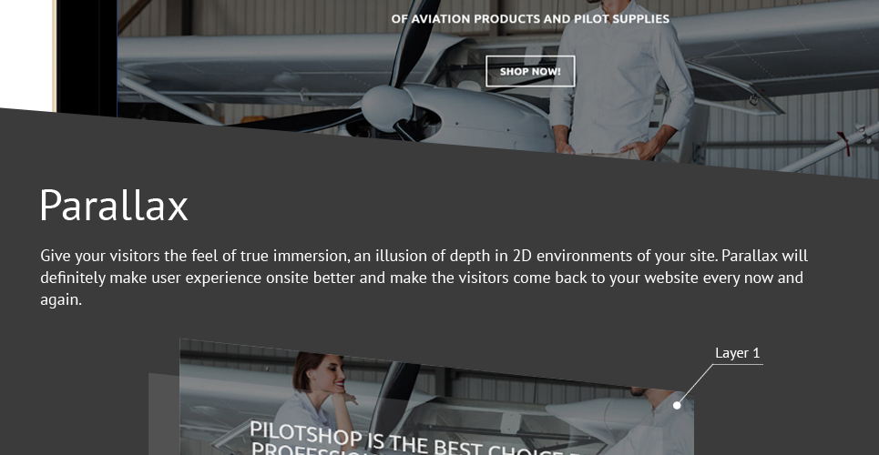 пилотные поставки отзывчивая тема shopify