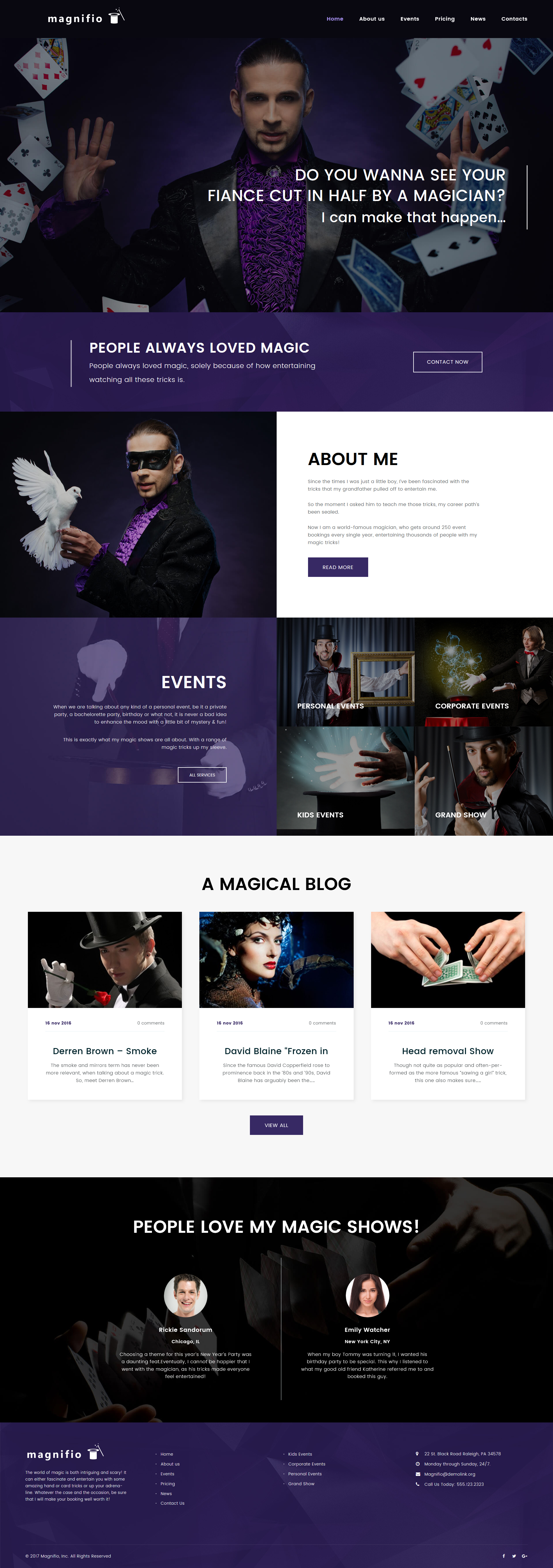 Reszponzív Magician Artist & Performer WordPress sablon 62413 - képernyőkép