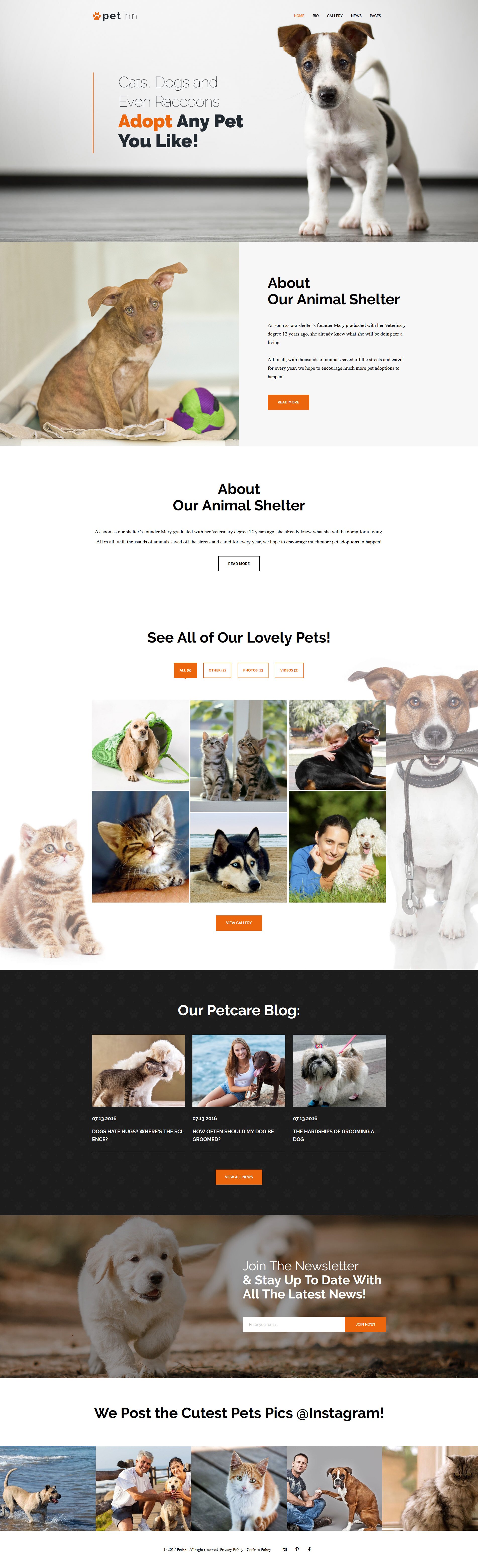 WordPress Theme namens "PetInn - Tierheim" #62483