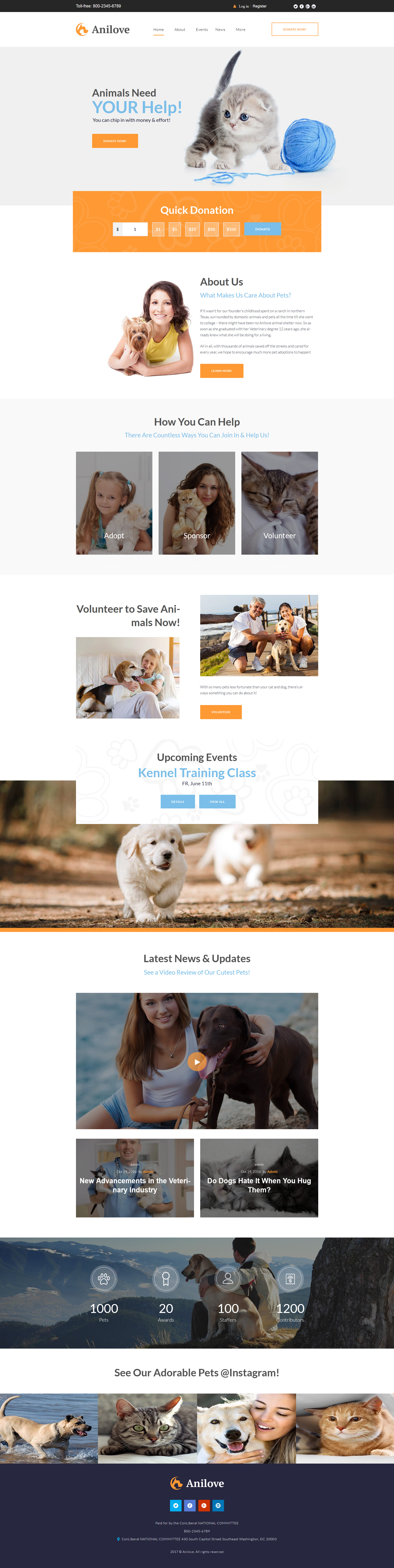 WordPress Theme namens "Anilove" #64141