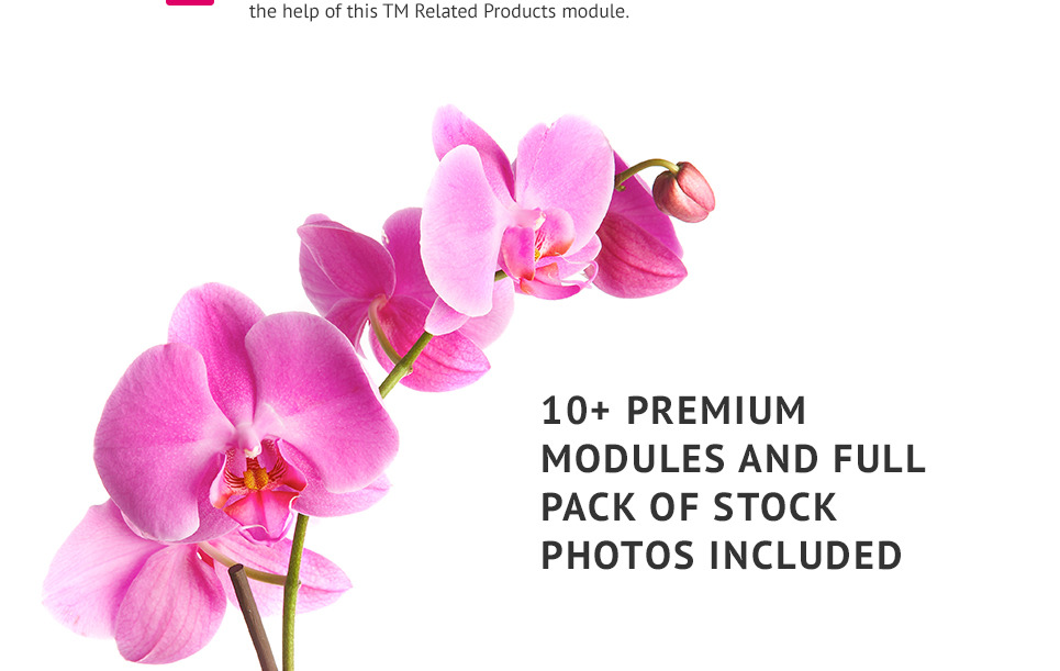 Impresta - Cosmetics Store PrestaShop Theme