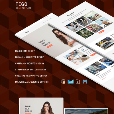 Tego - Plantilla responsive para boletín de noticias #64451