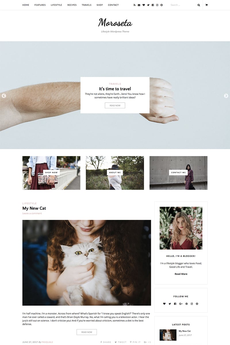 Moroseta WordPress Theme - screenshot