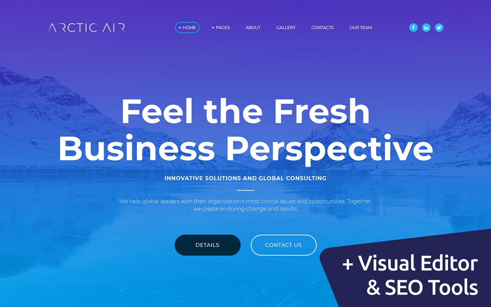 Reszponzív Arctic - Business Startup Moto CMS 3 sablon 65555